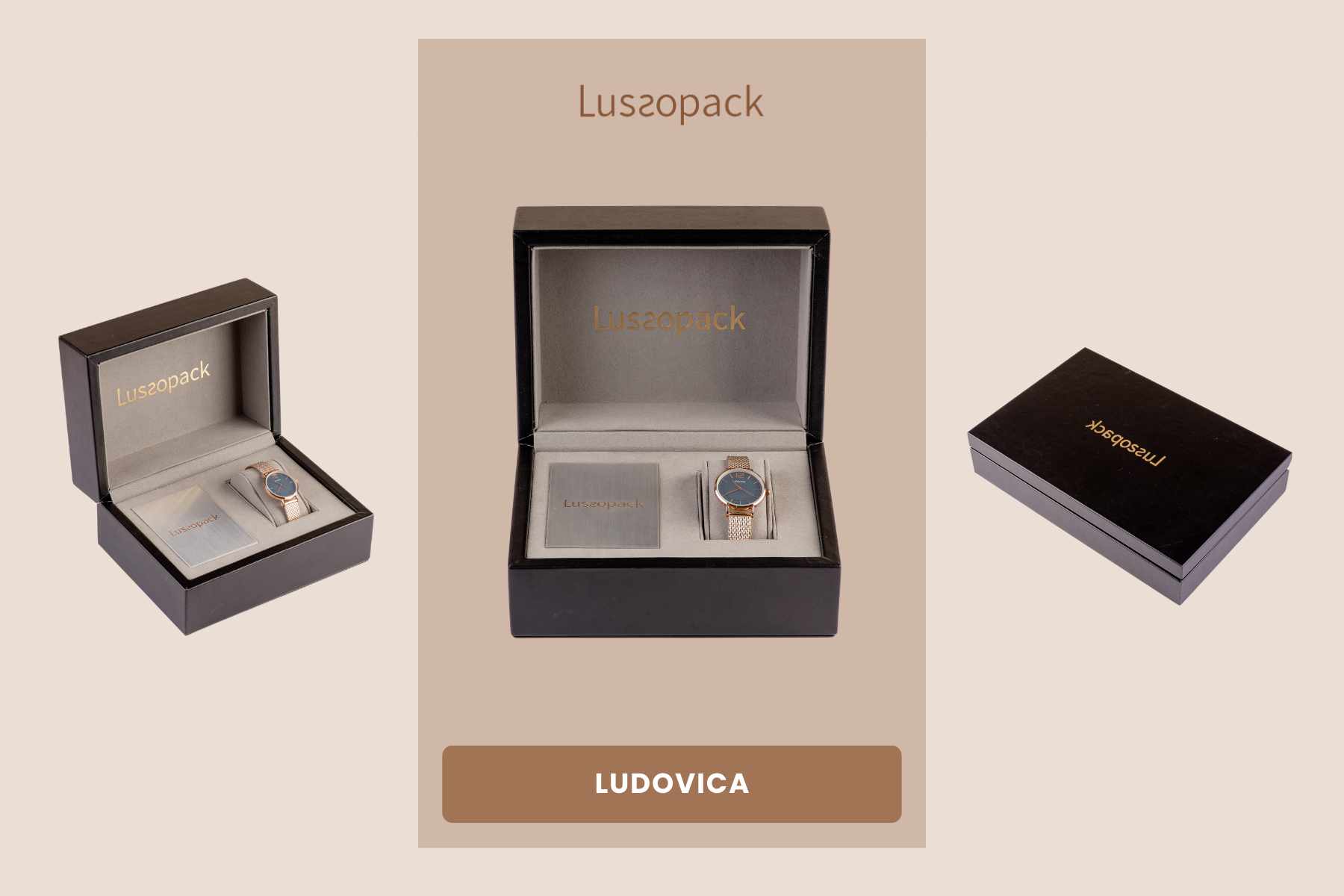 /images/packagingBlogUpdate/9WatchDisplayBoxIdeas/9WatchDisplayBoxIdeas02.webp