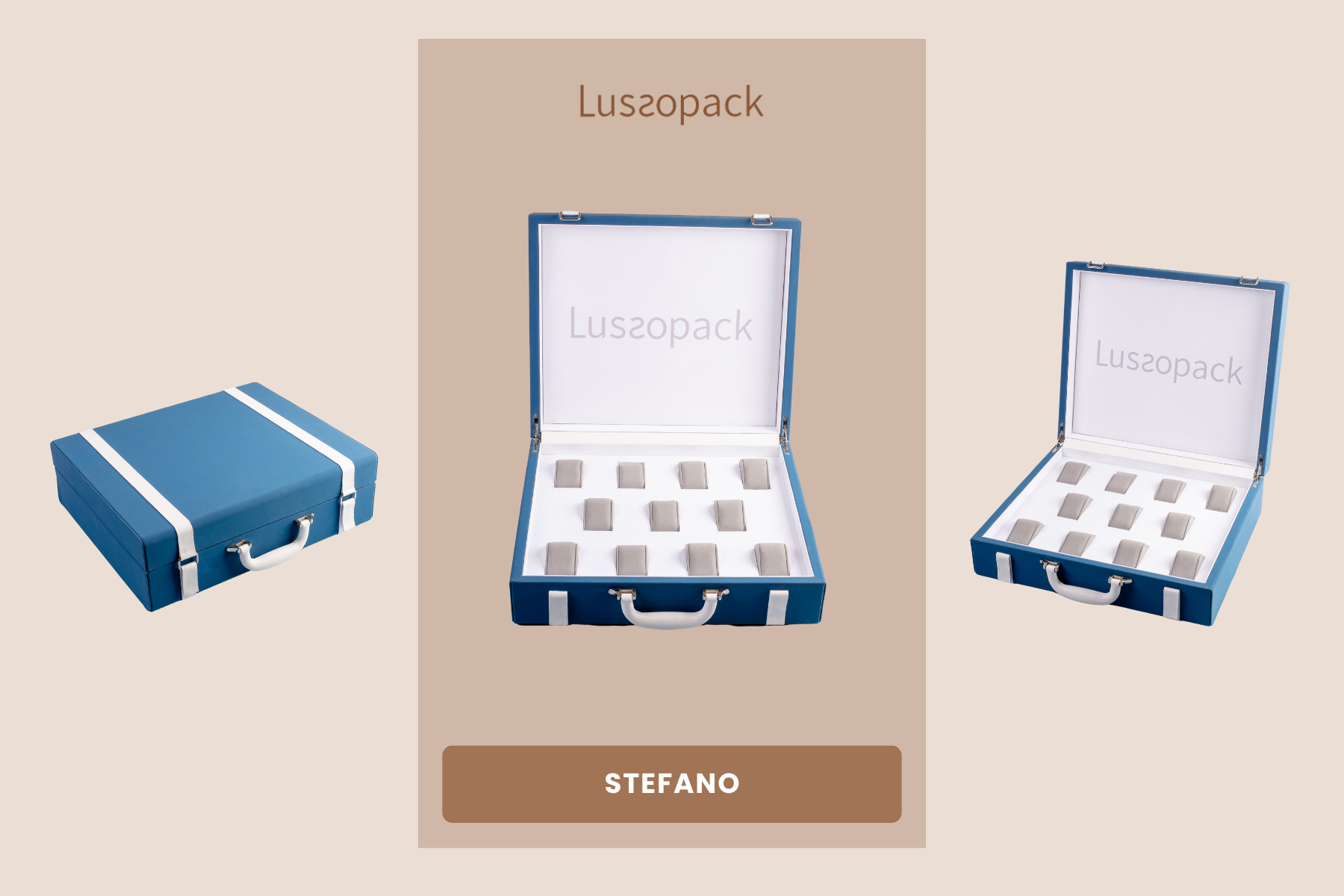 /images/packagingBlogUpdate/9WatchDisplayBoxIdeas/9WatchDisplayBoxIdeas03.webp