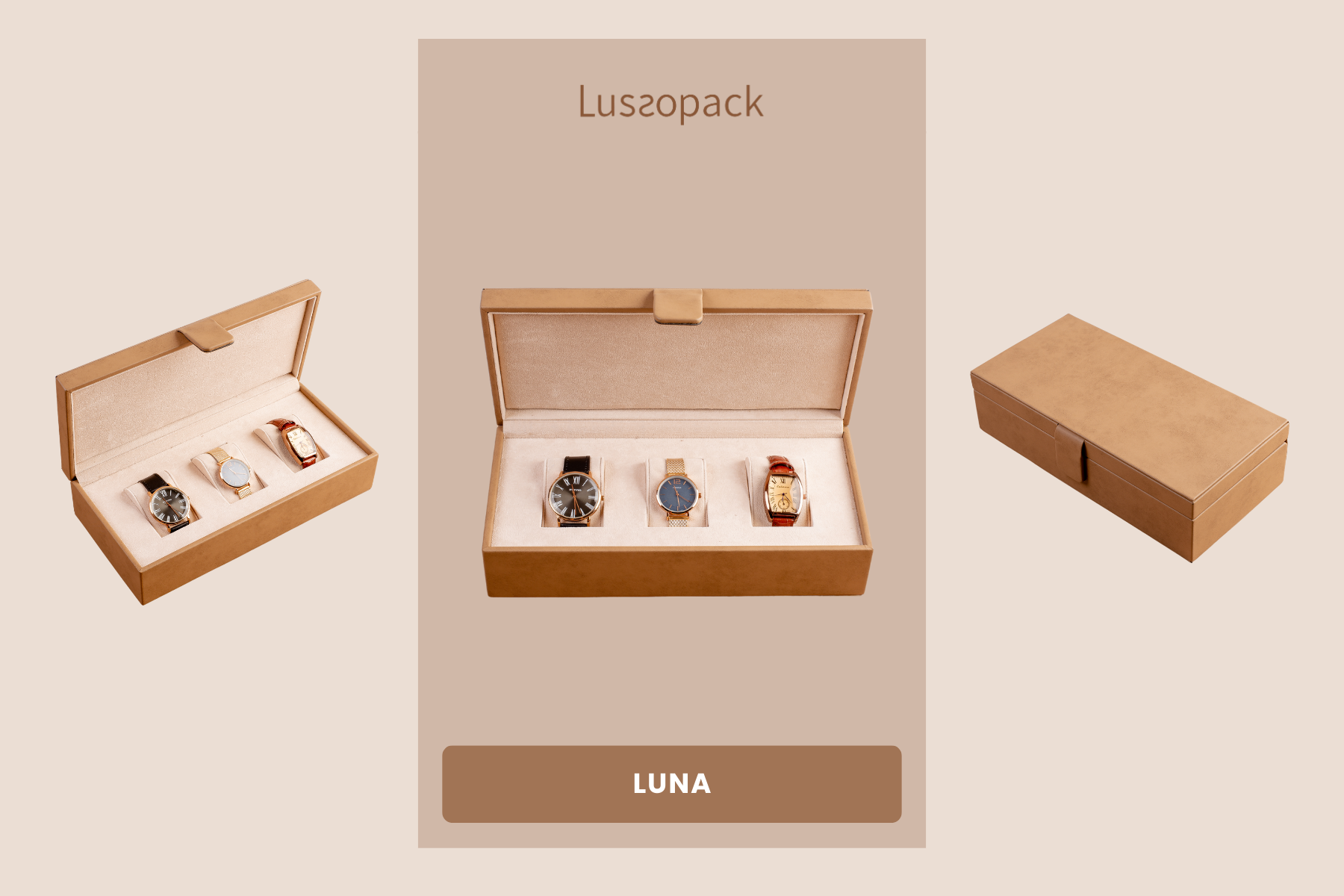 /images/packagingBlogUpdate/9WatchDisplayBoxIdeas/9WatchDisplayBoxIdeas04.webp