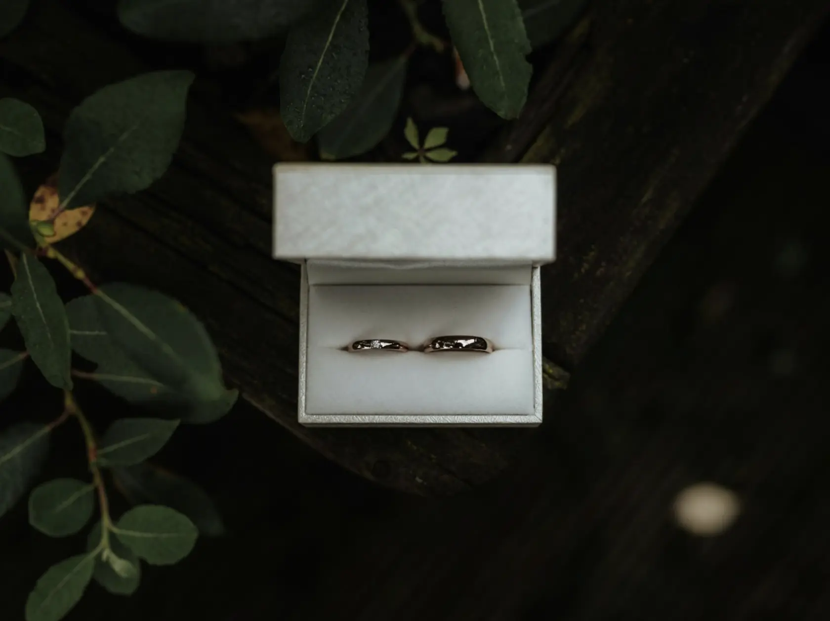 /images/packagingBlogUpdate/needToKnow/needToKnow04.webp