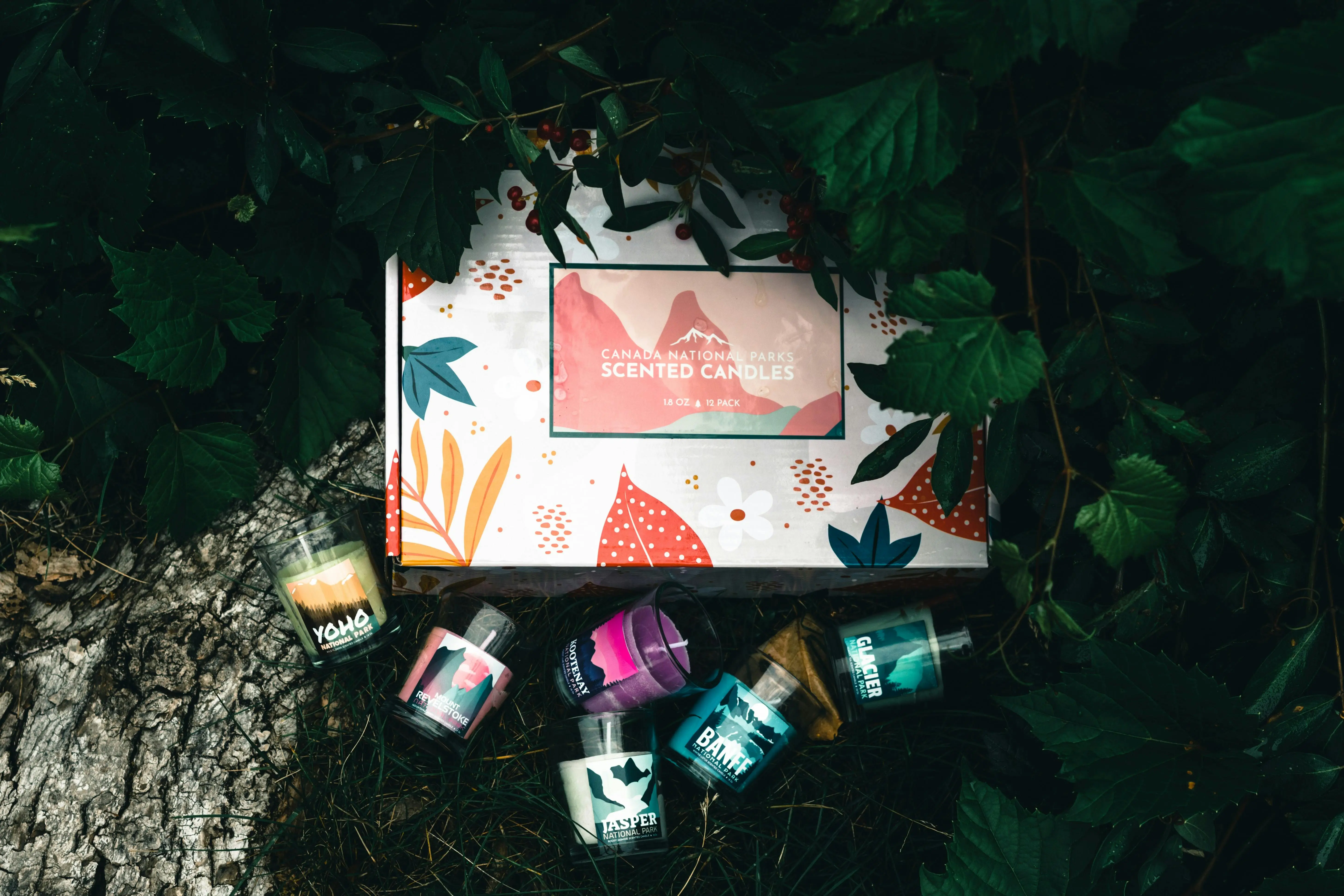 /images/packagingBlogUpdate/packagingIdea/creativePackaging03.webp