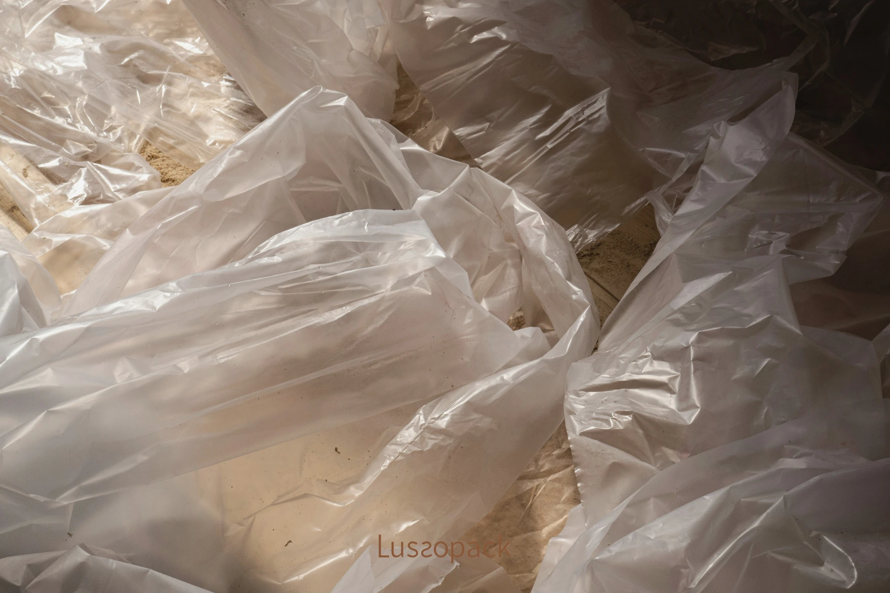 /images/packagingBlogUpdate/paperBagsVsPlasticBags/paperBagsVsPlasticBags03.webp