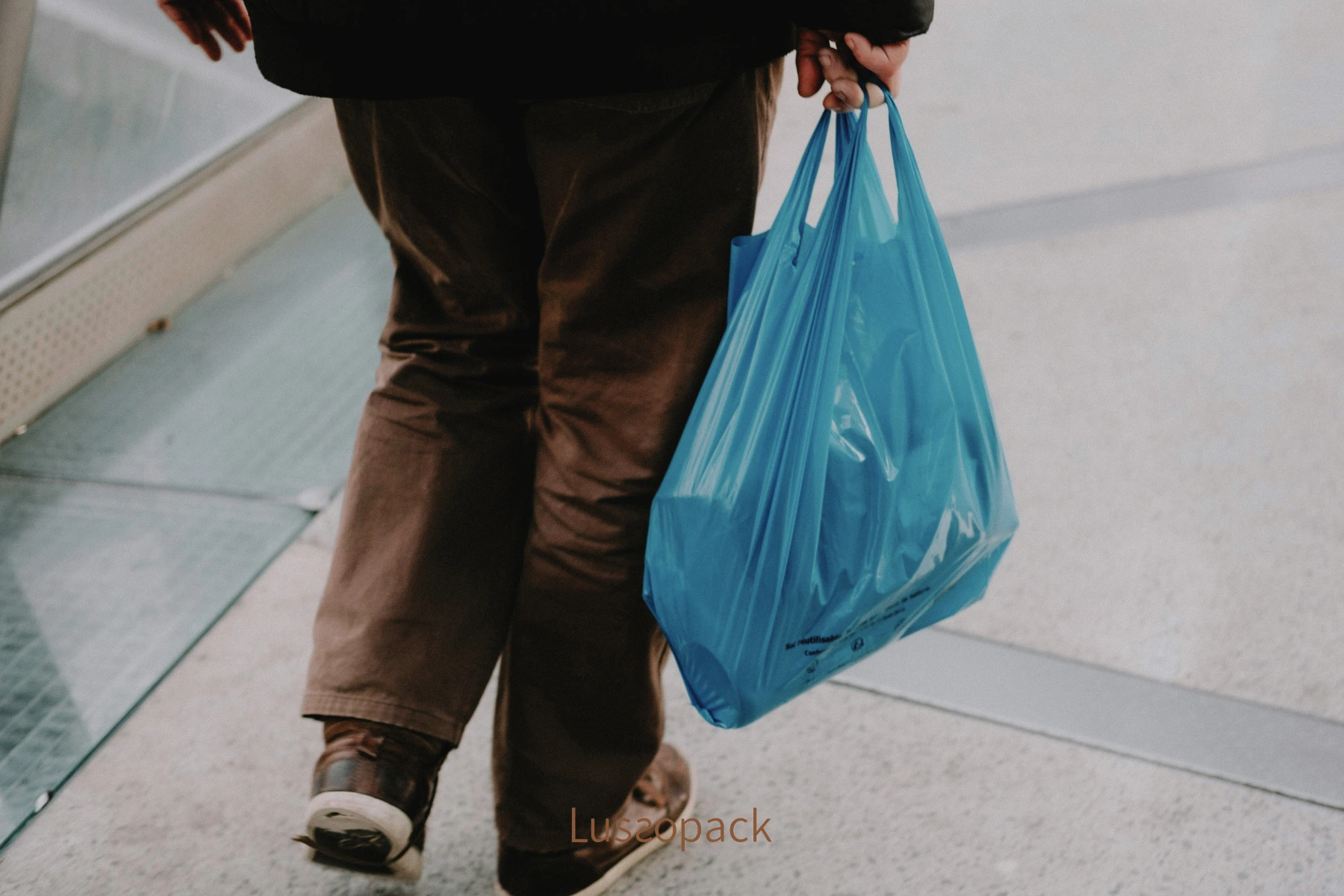 /images/packagingBlogUpdate/paperBagsVsPlasticBags/paperBagsVsPlasticBags05.webp